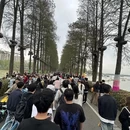 武汉旅游 缩略图 11