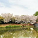 北京旅游 缩略图 1