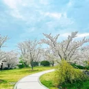 北京旅游 缩略图 3
