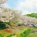 北京旅游 缩略图 2