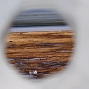 伊犁旅游 缩略图 3