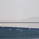 伊犁旅游 缩略图 5
