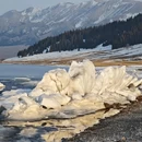 伊犁旅游 缩略图 8