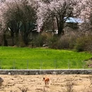林芝旅游 缩略图 9