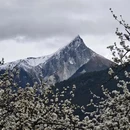 林芝旅游 缩略图 9
