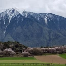 林芝旅游 缩略图 6