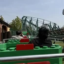 上海旅游 缩略图 15