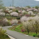 宁波旅游 缩略图 1