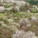 宁波旅游 缩略图 4