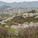 宁波旅游 缩略图 3