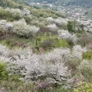宁波旅游 缩略图 6