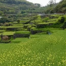 宁波旅游 缩略图 9