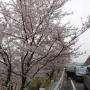 宁波旅游 缩略图 12