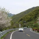宁波旅游 缩略图 14
