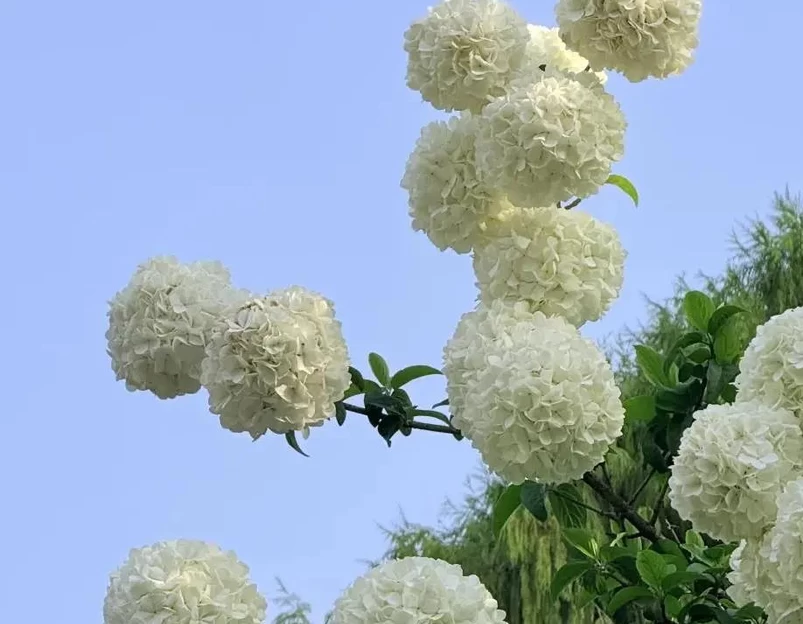 南京旅游 1