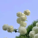 南京旅游 缩略图 8