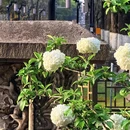 南京旅游 缩略图 7