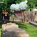 南京旅游 缩略图 10