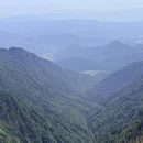 萍乡旅游 缩略图 4