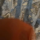 萍乡旅游 缩略图 11