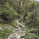 黄山旅游 缩略图 2