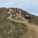 黄山旅游 缩略图 8
