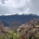 林芝旅游 缩略图 10
