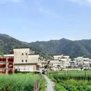 黄山旅游 缩略图 4