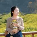 黄山旅游 缩略图 5