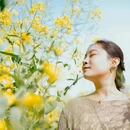 黄山旅游 缩略图 2