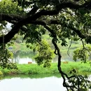 黄山旅游 缩略图 1