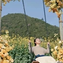 黄山旅游 缩略图 3