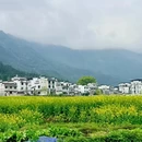 黄山旅游 缩略图 7