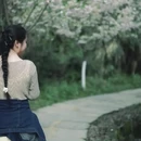 黄山旅游 缩略图 6