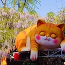 南京旅游 缩略图 8