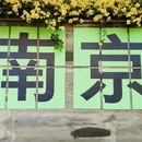 南京旅游 缩略图 9