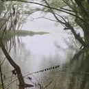 黄山旅游 缩略图 6