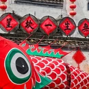 黄山旅游 缩略图 10