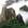 黄山