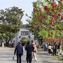 扬州旅游 缩略图 3