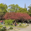 扬州旅游 缩略图 4
