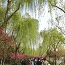 扬州旅游 缩略图 1