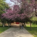 扬州旅游 缩略图 17