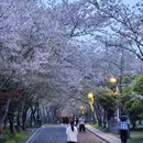 无锡旅游 缩略图 10