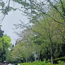 武汉旅游 缩略图 2