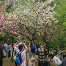 武汉旅游 缩略图 7