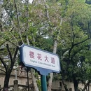 武汉旅游 缩略图 3