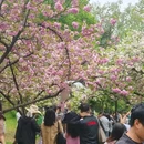 武汉旅游 缩略图 5
