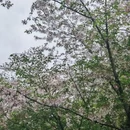 武汉旅游 缩略图 4