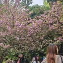 武汉旅游 缩略图 6
